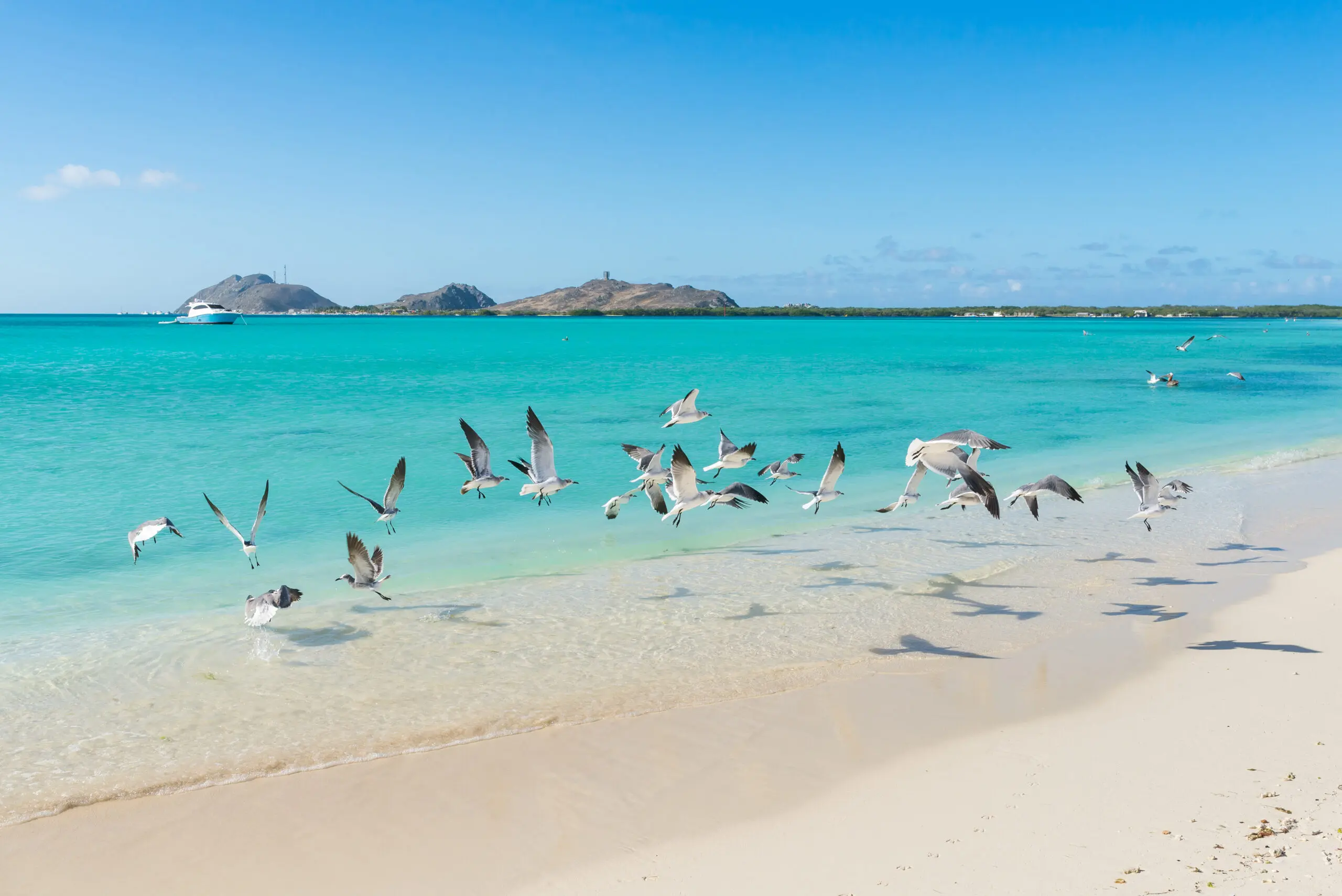 Full Day en Los Roques